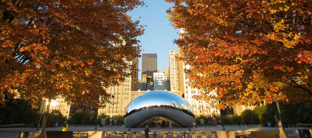 Foliage reflecting off the bean.  